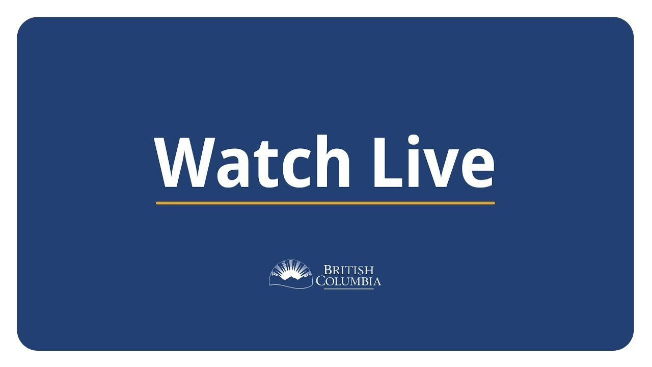 B.C. providing live update on wildfire situation (BC)
