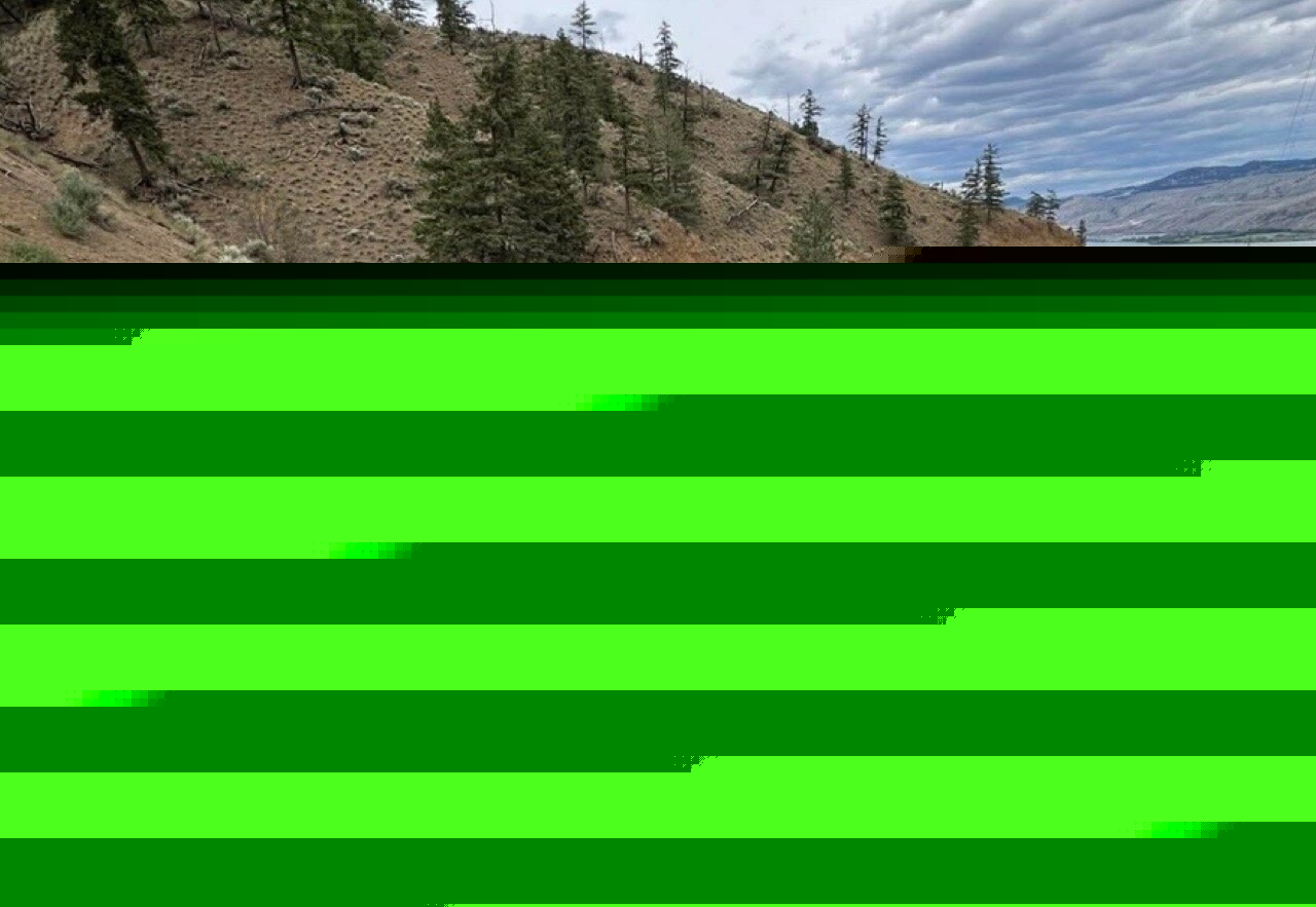 Recovery and towing company plans to clean up abandoned vehicles in Lac du Bois grasslands near Kamloops (Kamloops)