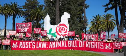 Animal Rights Activists March in Petaluma During Felony Animal Rescue Trial