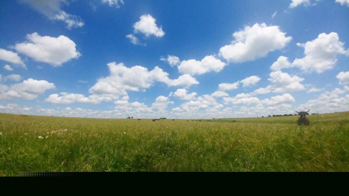 Texas’ Largest Land Owner Deals in Drilling and Data Centers