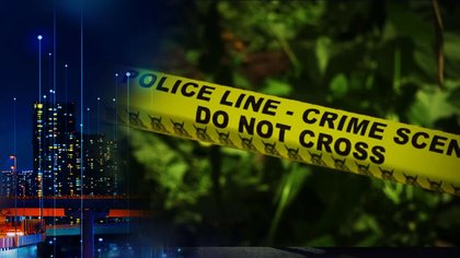 Three suspected livestock thieves killed, lorry torched in Makueni
