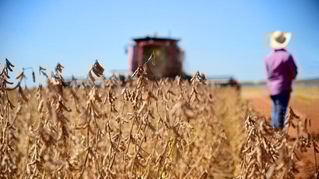Senado aprova plano para fertilizantes no Brasil