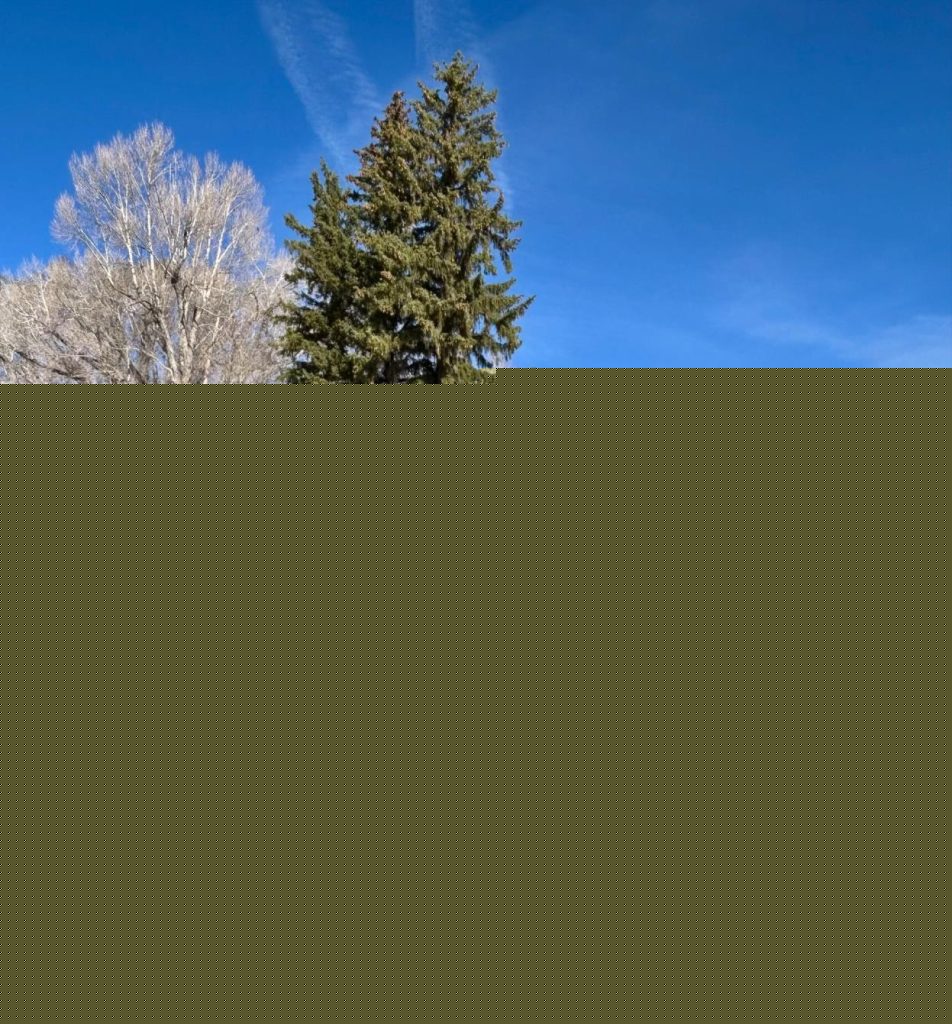 Yampa Ranch Historic Barn and Granary designated as a Routt County historic property