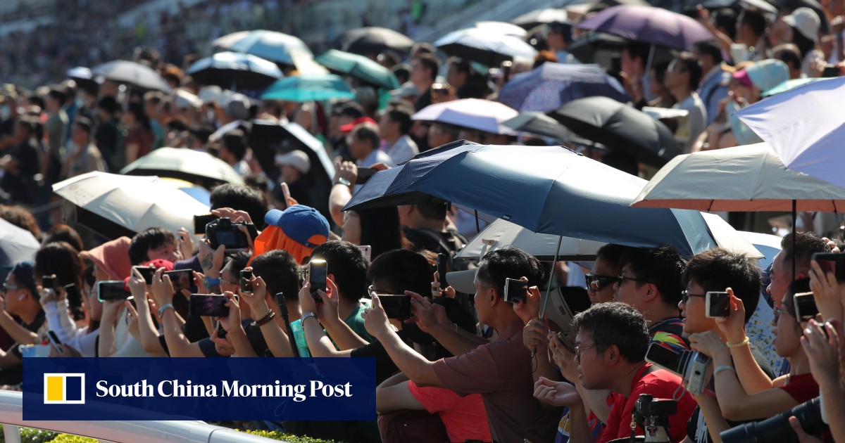 Badel to get his Wish in Sha Tin Trophy, will keep seat warm for Ferraris