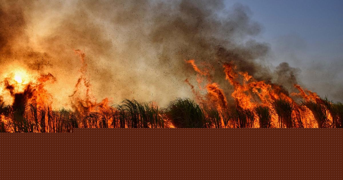 Volunteer wildfire group calls for partnership with Scottish Fire Service