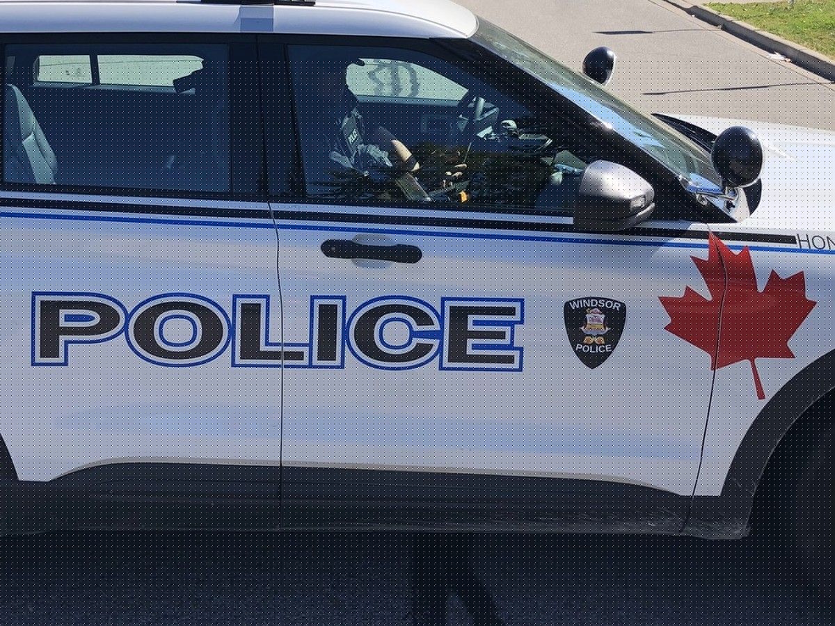 Dog stolen during armed robbery, two suspects charged