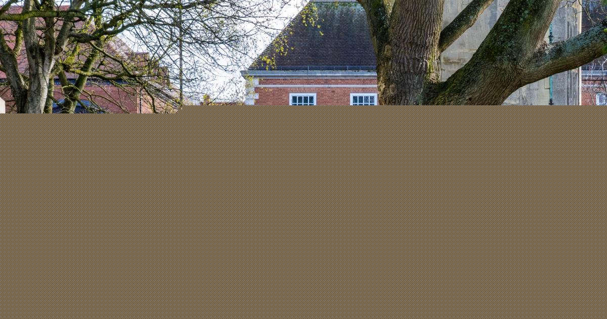 College invests in major campus improvements for students