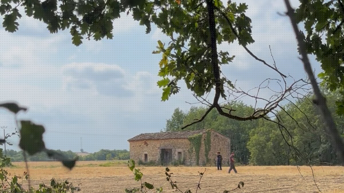 TÉMOIGNAGES. Affaire Jubillar : "On va devoir apprendre à vivre avec ce 'si on avait su' qui nous hante"... Quinze jours après, l'émotion ne retombe pas à Mailhoc