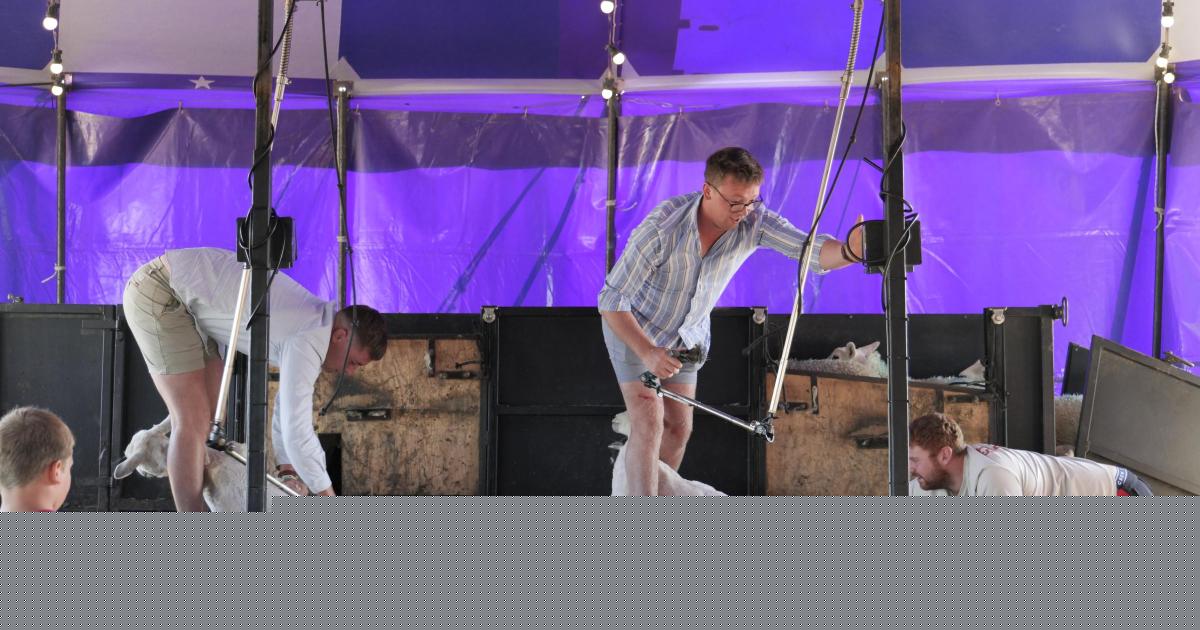 PICTURES: Trefeglwys Show brings farming, fun and community spirit to Powys village
