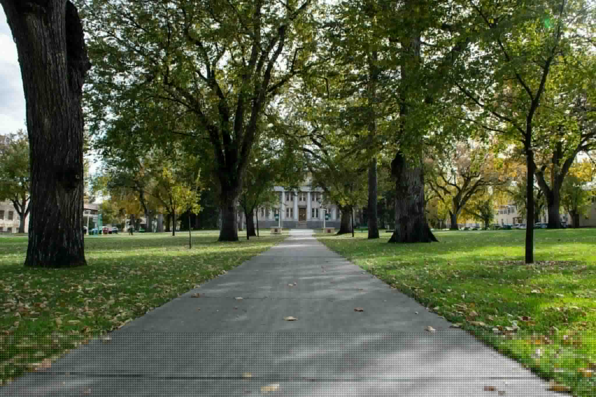 A lasting legacy: CSU community reflects on contributions, history amid 150th anniversary of statehood