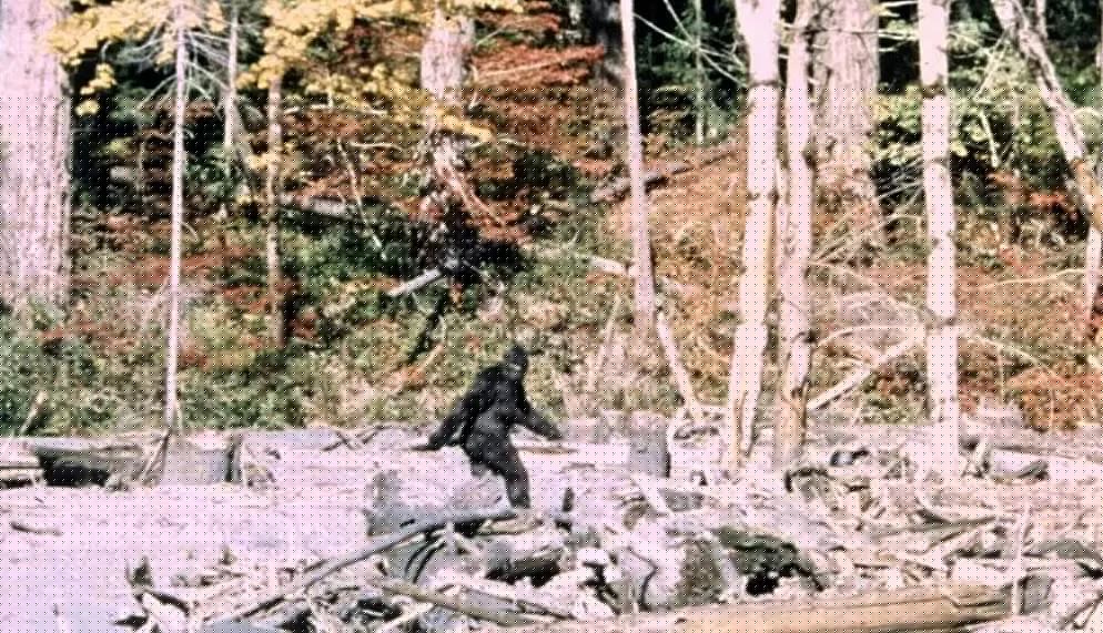 ‘Monster Madness’: A sixth grader sent us this delightful podcast about Bigfoot