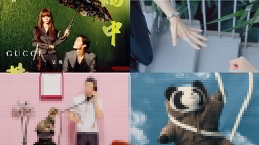 The New Qixi Valentine’s Day Romance: Microdrama, Fandom and Animal Love