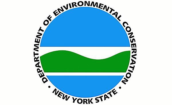 Follow the NYS Firewood Regulation to Help Protect New York’s Trees