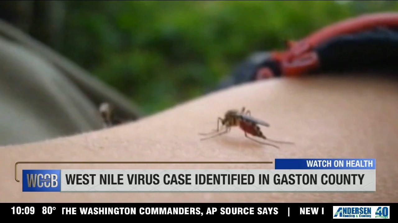 West Nile virus detected in human in Gaston Co.