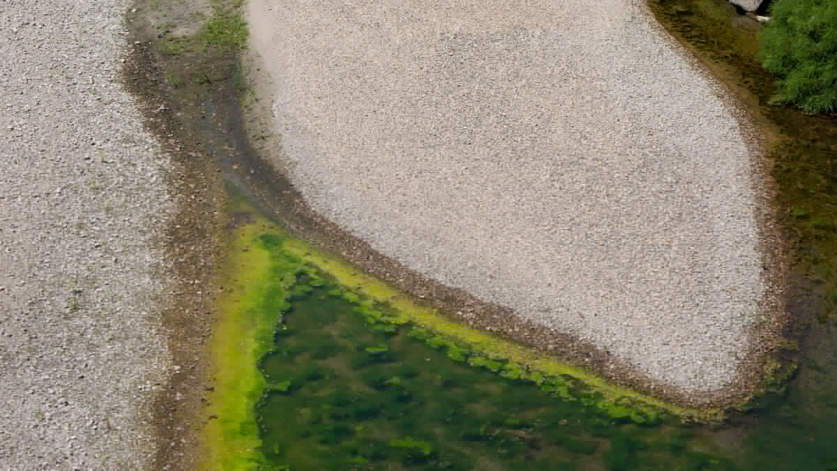 Si aggrava la crisi del Po, l’acqua marina risale il Delta. Anbi: “Come un bollettino di guerra”