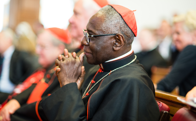 Cardinal Sarah’s upcoming book ‘2050’ offers insights on the future of the Church