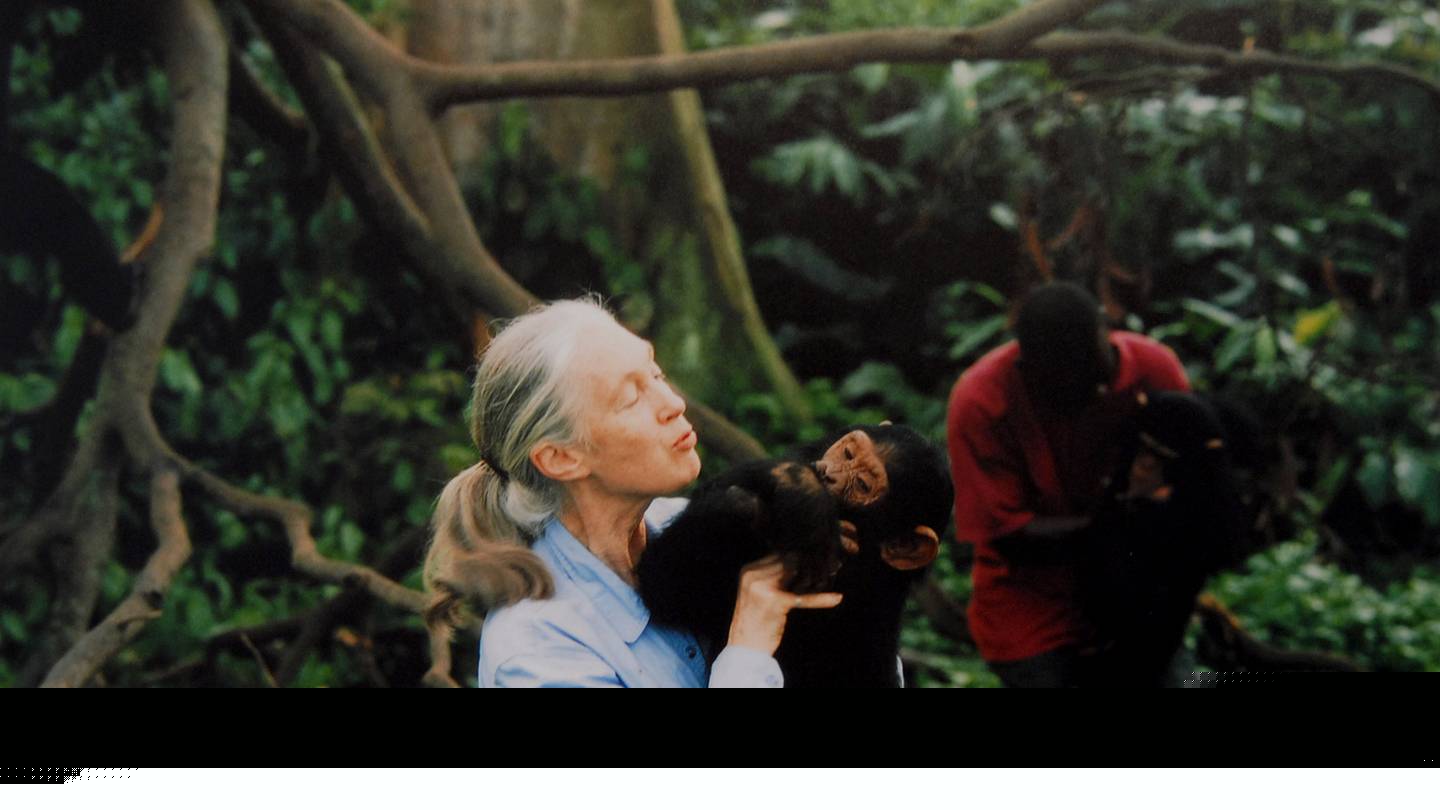 8 Defining Facts About Jane Goodall