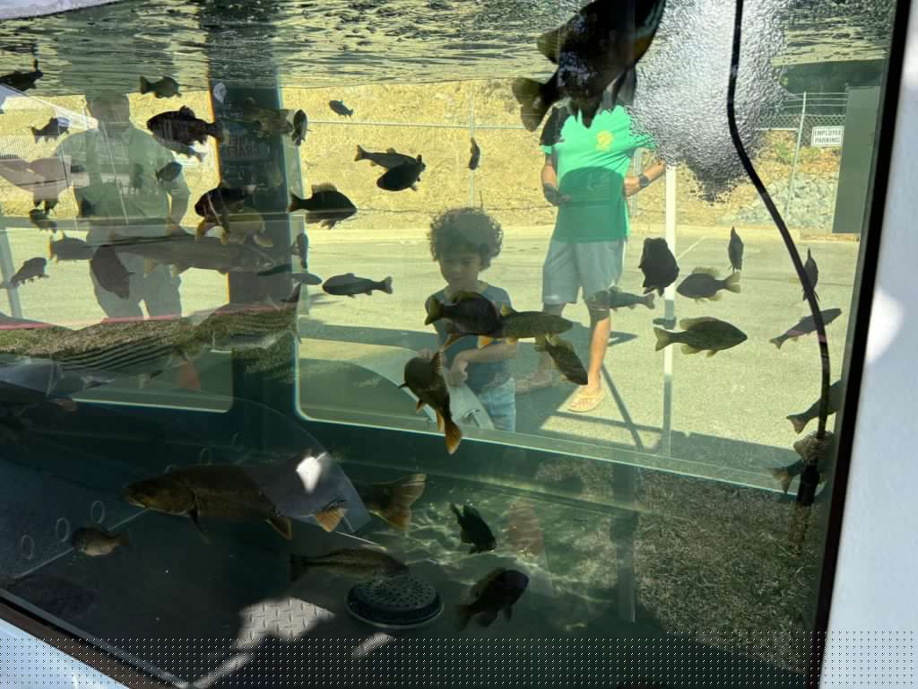 Community flocks to Oroville Salmon Festival for fish, cars and local fun