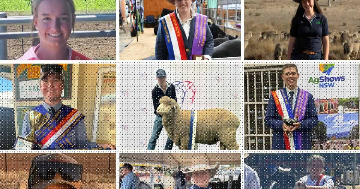'Shows are my classroom': meet the NSW representatives on the national stage