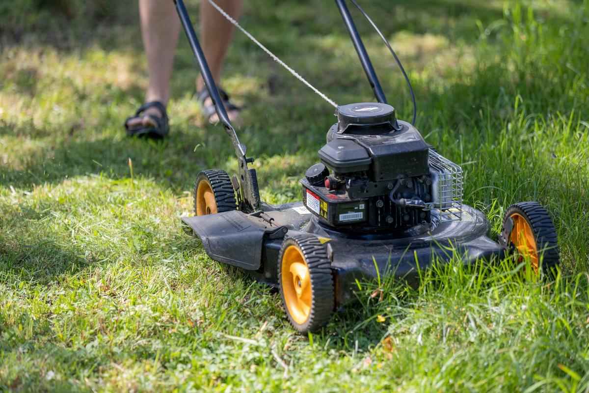 The Secret Life of Lubbock Lawns: What Your Yard Says About You