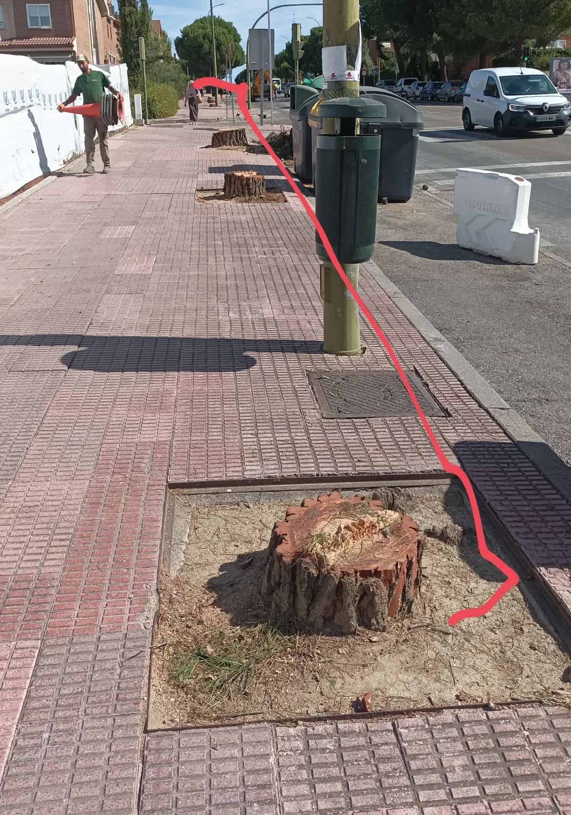 Piden que se repongan los árboles talados en Móstoles
