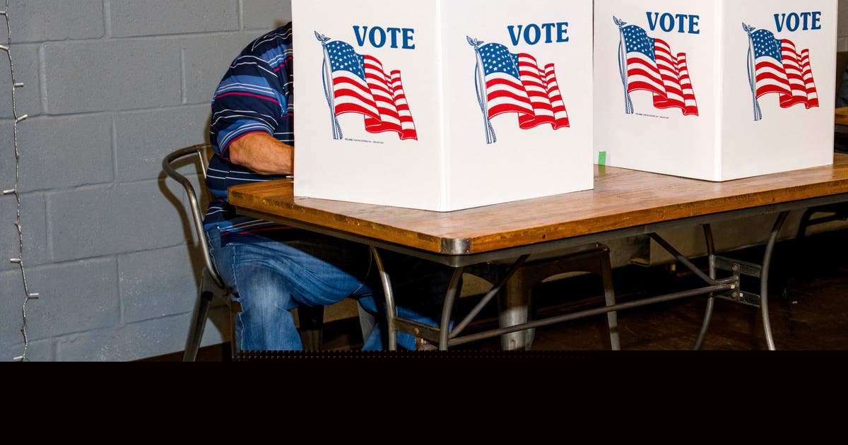 Michigan primary election: Senate race preview