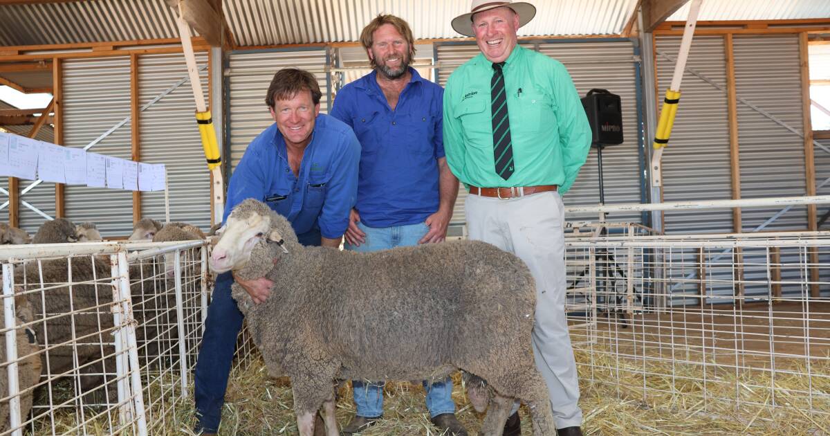 117 years of breeding Merinos - and family shows no signs of slowing down