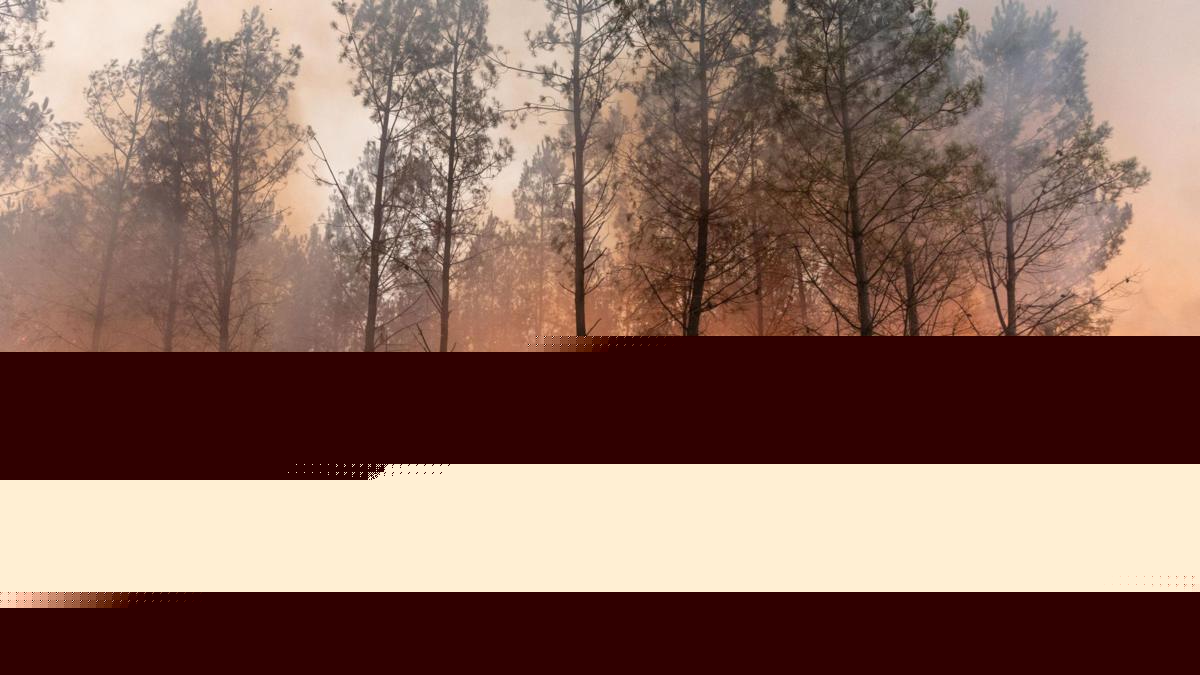France and Spain wildfire witnesses describe 'wall of flames', fear and stress