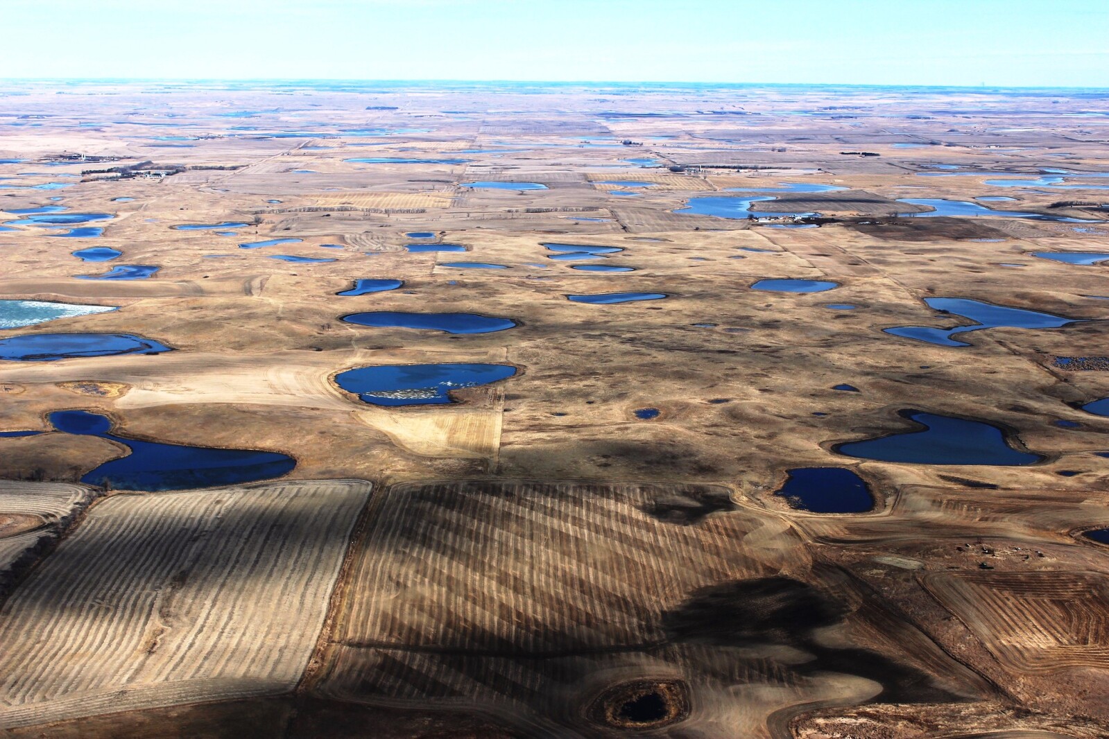 North Dakota Gov. Kelly Armstrong announces statewide soil health and wildlife habitat program