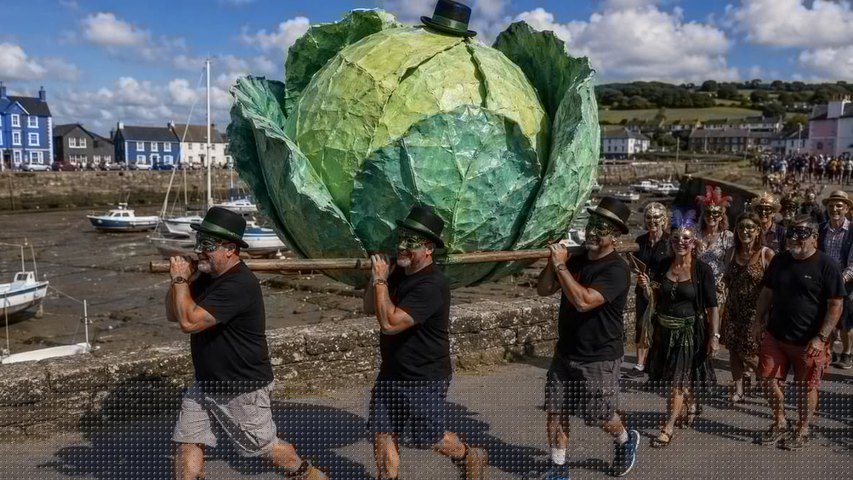 PETA want Aberaeron to change Mackerel Fiesta to cabbage
