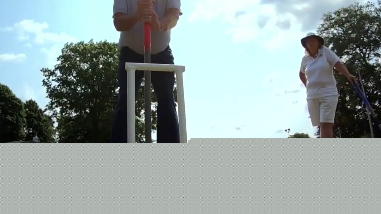 Milwaukee Croquet Club celebrates milestones