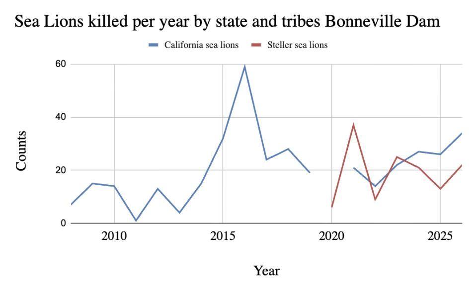 California sea lions return north