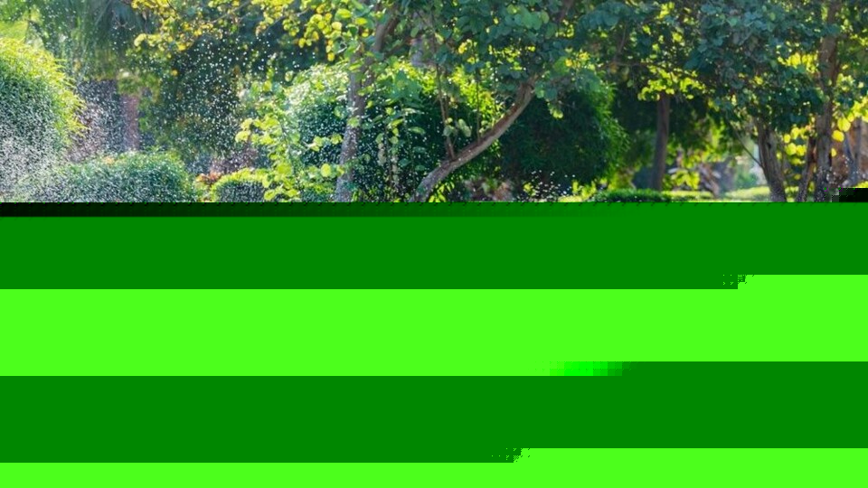 Geen water voor openbaar groen, gemeenten vrezen schade