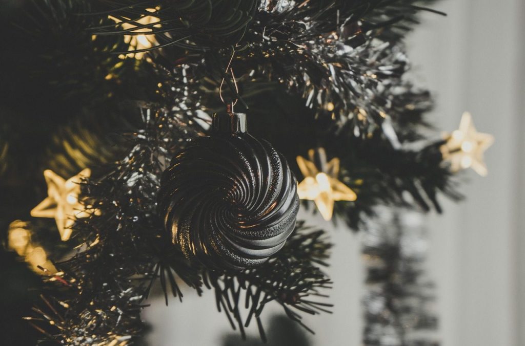 Jan 31 is the last day to drop off Christmas trees at disposal site in St. Joe