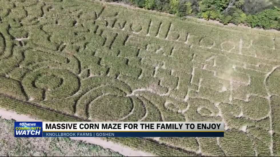Behind the stalks: Knollbrook Farms designs massive 12-acre corn maze experience