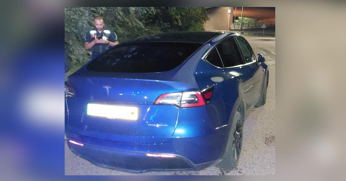 Learner Tesla driver caught cruising in south Essex told police test was 'too hard'