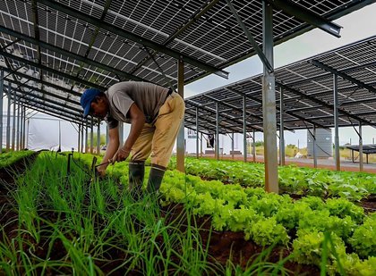Com investimento de milhões, Estado do Rio terá primeira usina agro-solar do Sudeste