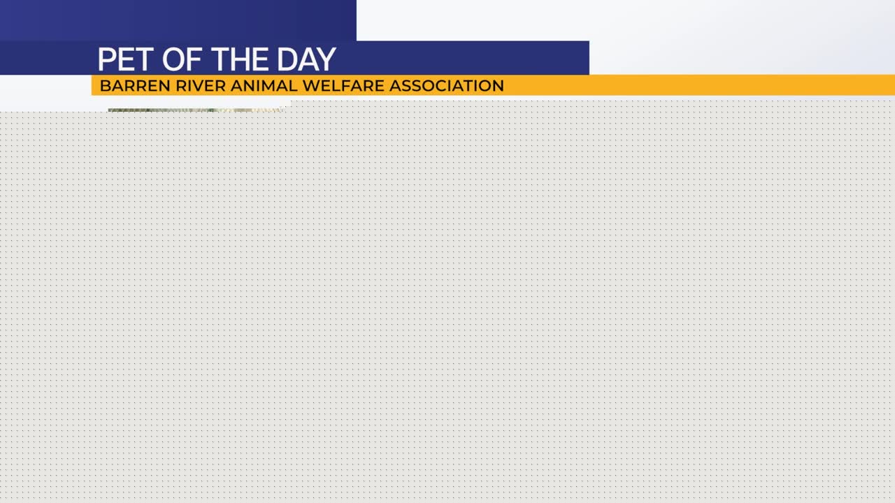 Pet of the Day: Bailey