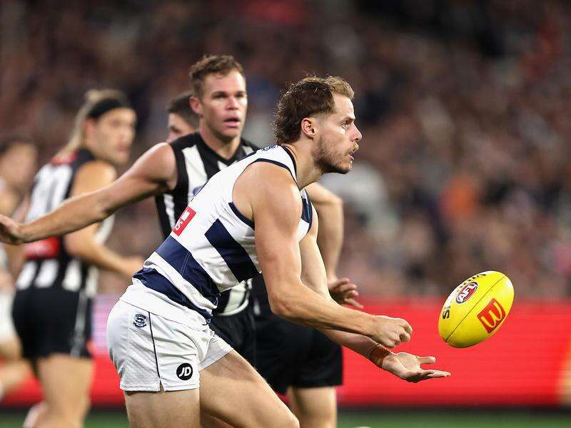 Cats coach refuses to speculate on defender's future