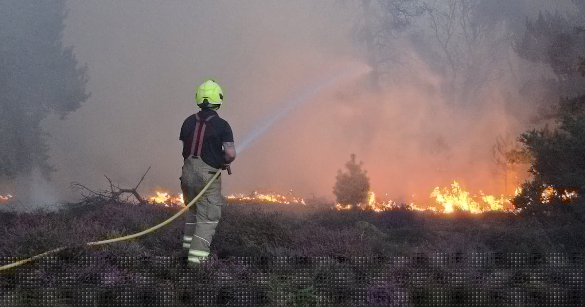 Holiday park evacuated during Suffolk wildfire, as power station monitors blaze