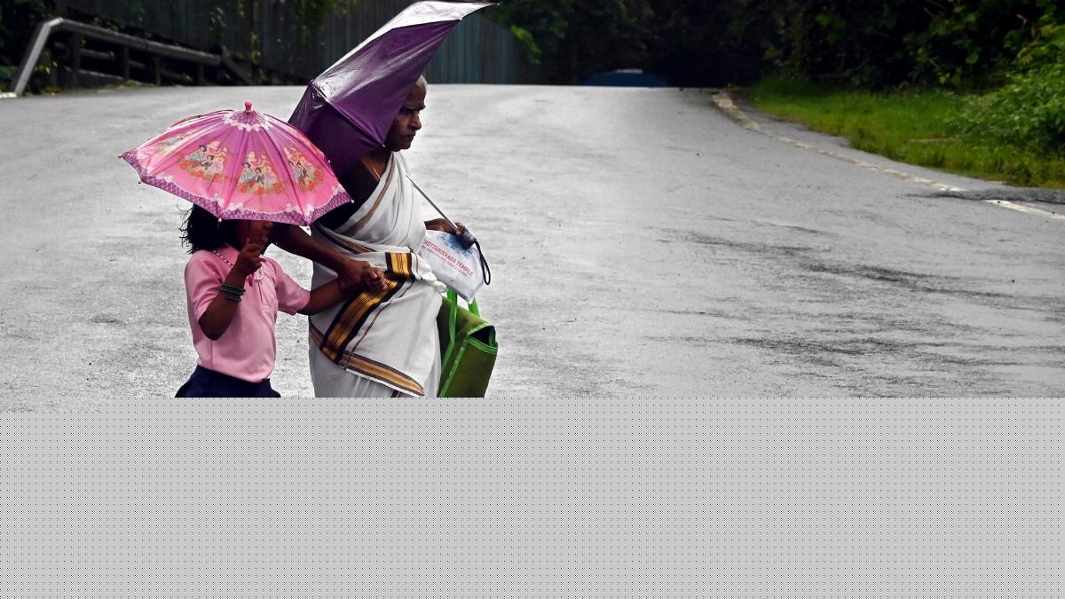 Wayanad schools, colleges closed on July 30 as IMD issues orange alert