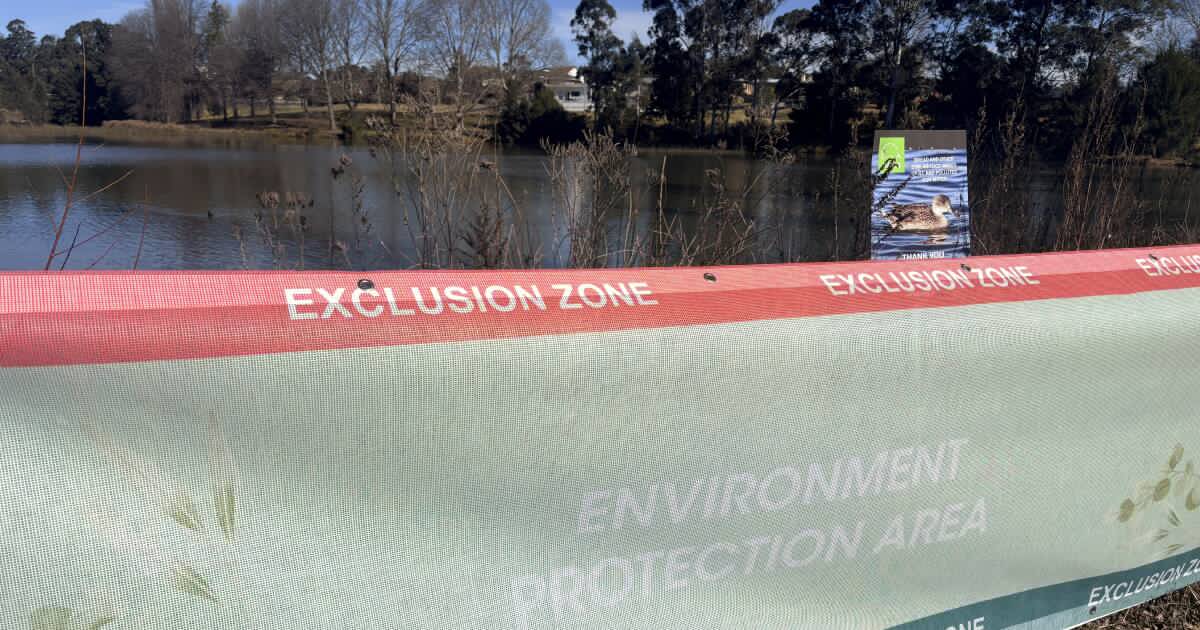 Algae warning issued for Bega lagoon: What it means for your drinking water and your pets