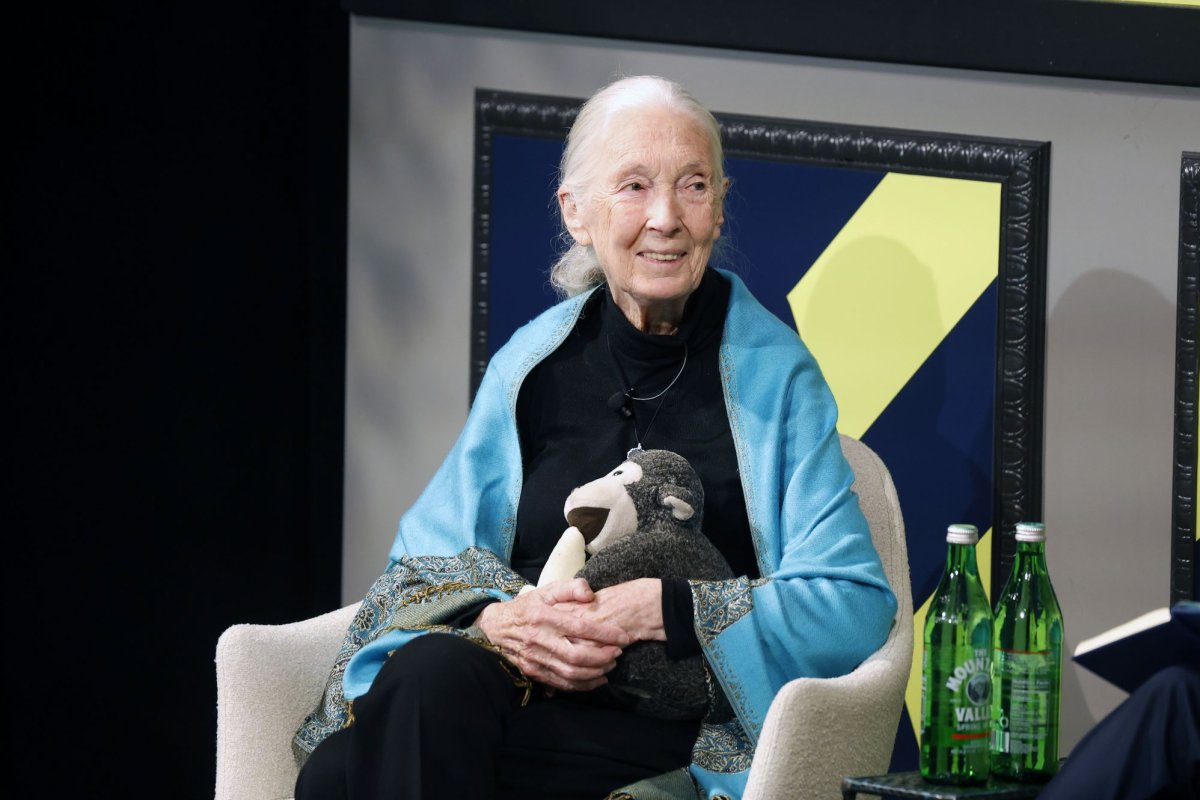Leonardo DiCaprio honors 'dear friend' Jane Goodall