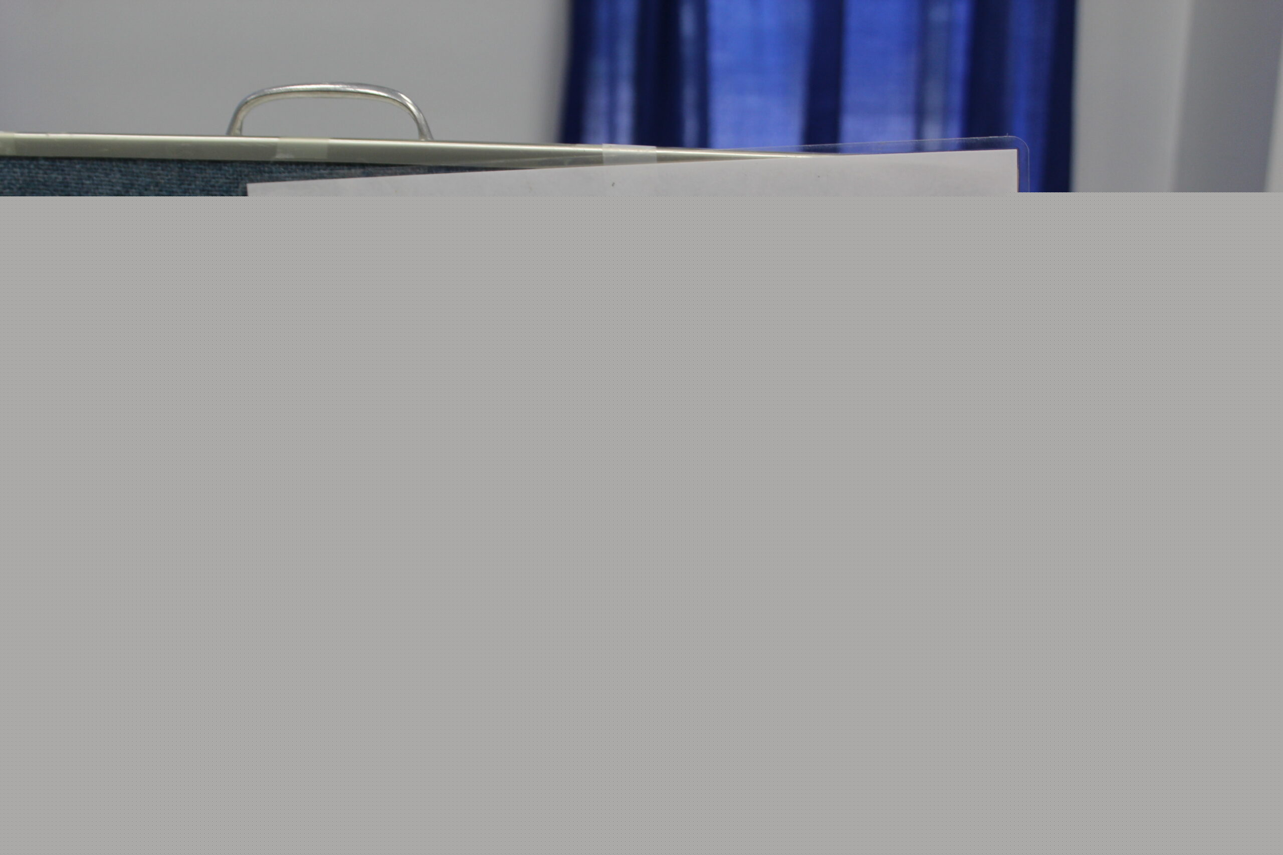 Primary Election Results Announced