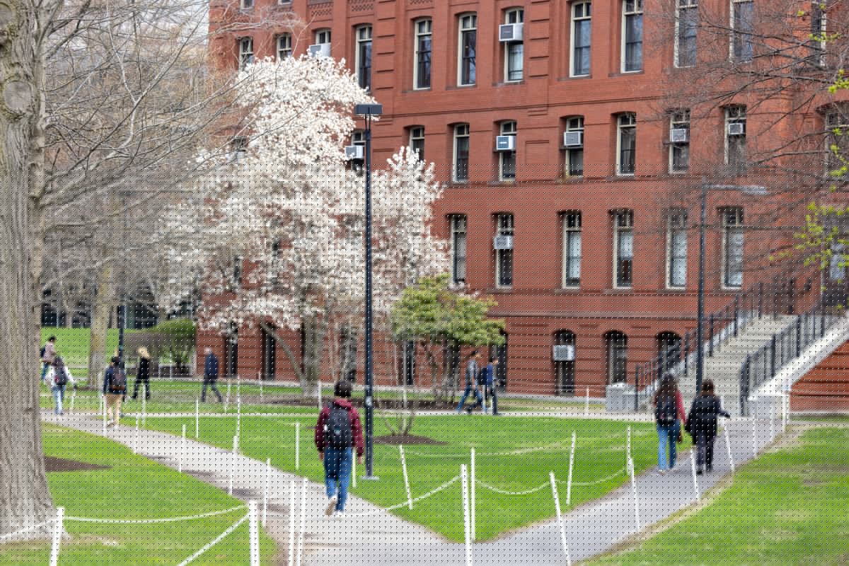 Trump Administration Called on To Cancel 250,000 Chinese Student Visas