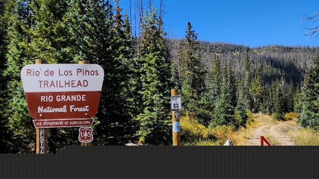 Missing elk hunters were killed by lightning that struck nearby tree: Official