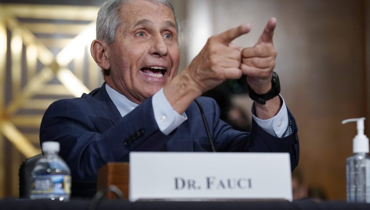 Fauci testifies before the Senate: What to know