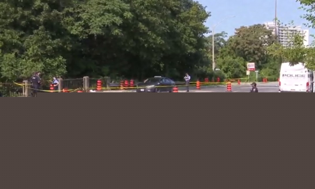 21-year-old dies in Hamilton hospital after being stabbed, found by taxi driver: police