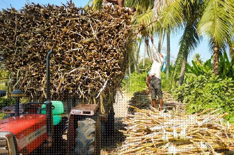 MEDAS contracts order for bioethanol plant in India