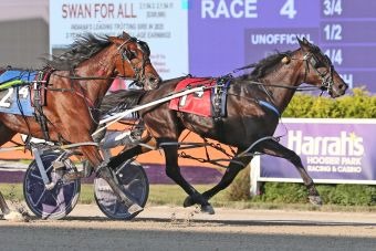 Fitterjake equals track record in INSS